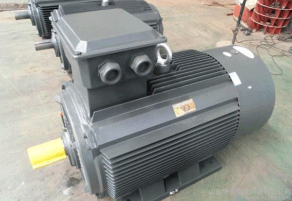 關(guān)于高壓電機(jī)外殼防護(hù)等級(jí)重要性分析,。
